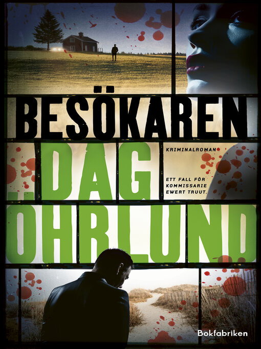 Omslagsbild för Besökaren